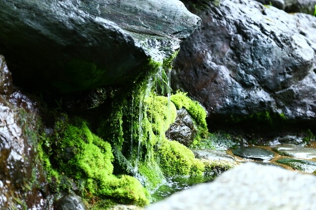 京都の天然水が飲めるウォーターサーバーまとめ